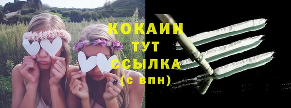 стаф Баксан