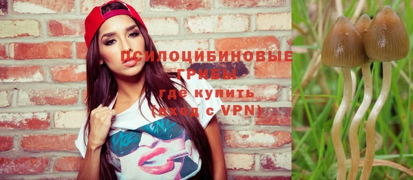 a pvp Протвино