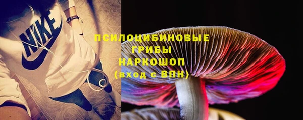 гидропоника Балахна