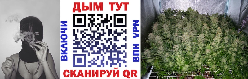 где можно купить   Бронницы  Бошки марихуана OG Kush 